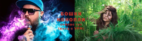 сатива Болотное