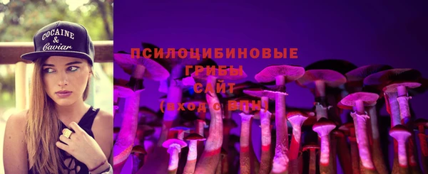 ECSTASY Бронницы