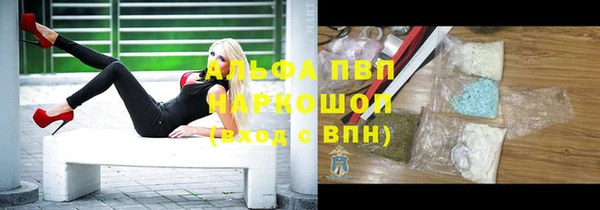 ECSTASY Бронницы