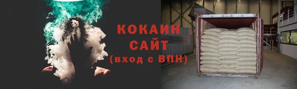 сатива Беломорск