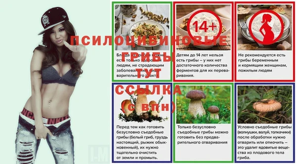 мяу мяу кристалл Бородино