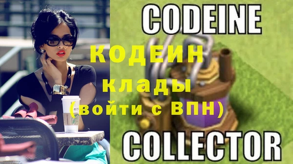 шишки Верея