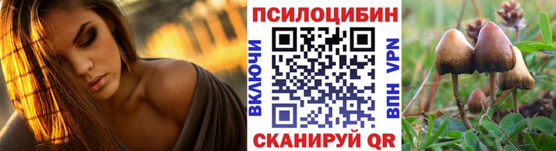 Галлюциногенные грибы Magic Shrooms  цены   Гатчина 
