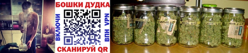 магазин    Гатчина  Бошки марихуана Bruce Banner 
